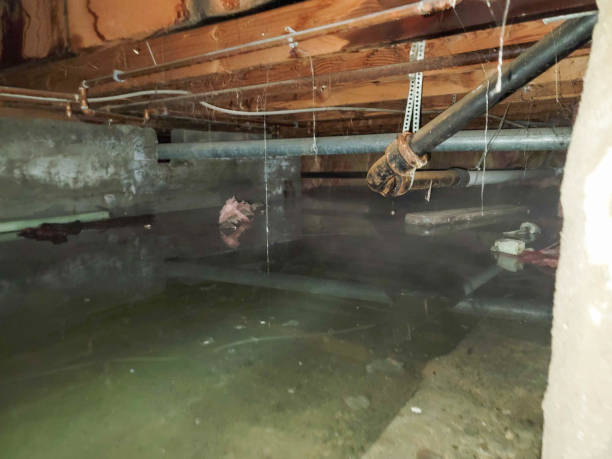 Best Basement water damage restoration  in Akron, IN