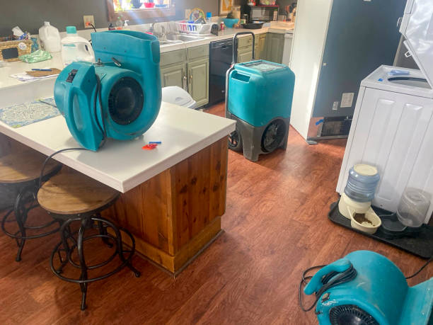 Best Carpet water damage restoration  in Akron, IN