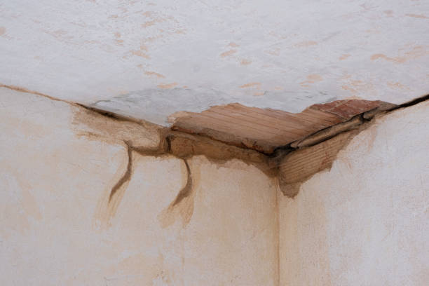 Best Water damage restoration near me  in Akron, IN