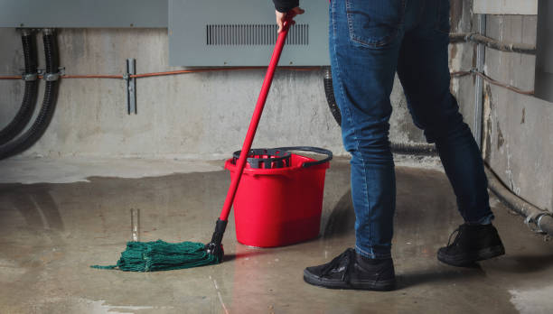 Best Water damage contractors near me  in Akron, IN